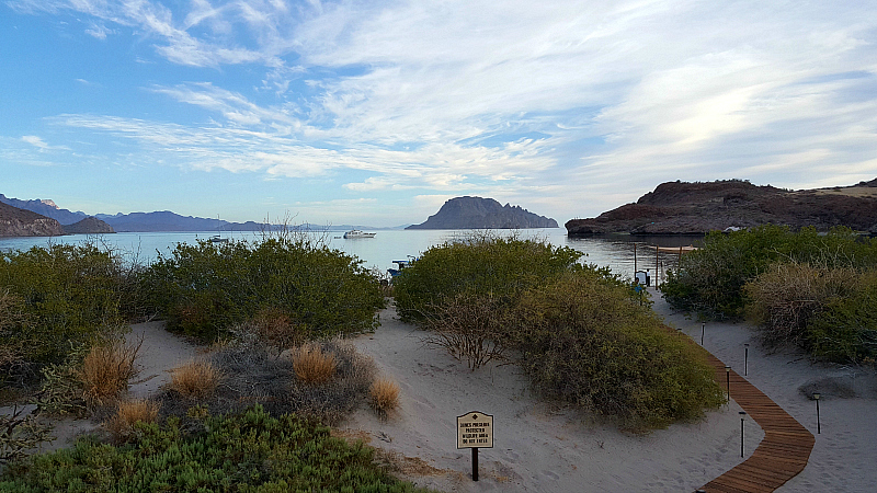 Beach Path to Danzante Bay on the Sea of Cortez