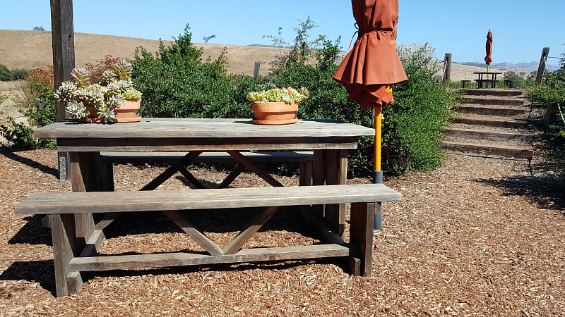 Vineyard Picnic at Foxen Winery in Santa Maria