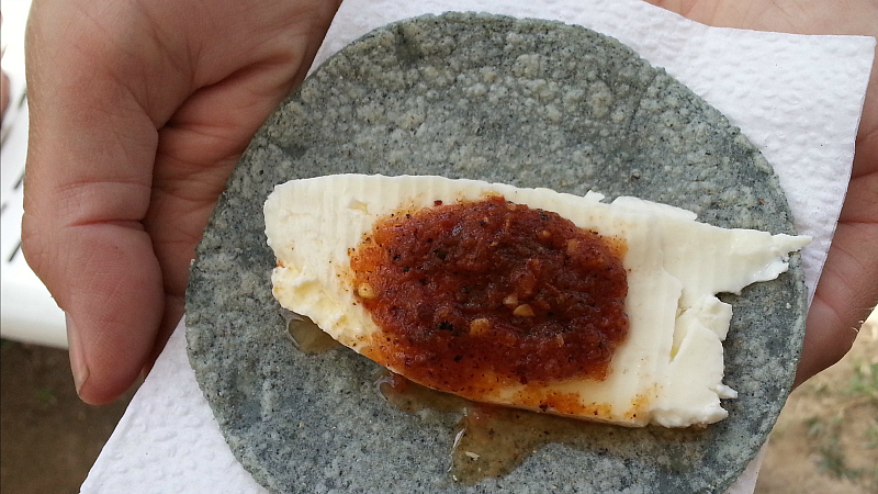 panela cheese on a corn tortilla