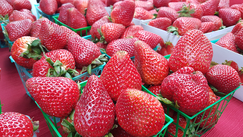 carmel farmers market strawberries